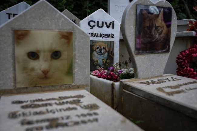 Hayvanseverler evcil hayvan mezarlığında kaybettikleri dostlarını ziyaret edebiliyor
